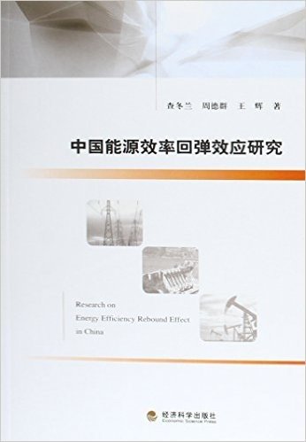 中国能源效率回弹效应研究