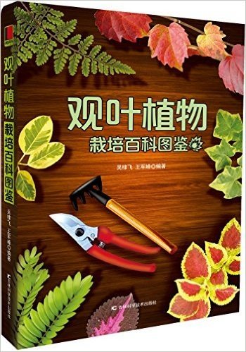 观叶植物栽培百科图鉴:带你一起打造家里的天然氧吧