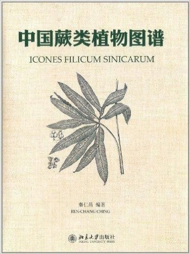 中国蕨类植物图谱