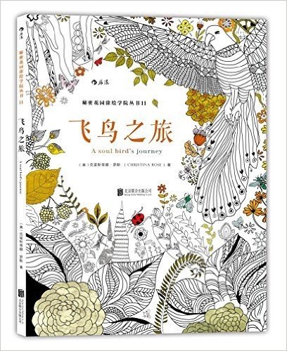 飞鸟之旅:秘密花园涂绘学院丛书11
