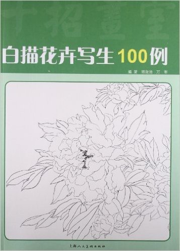 白描花卉写生100例