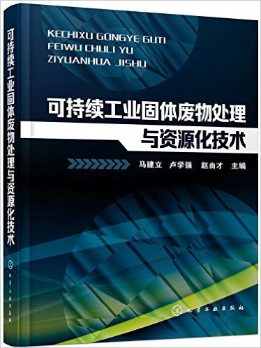 可持续工业固体废物处理与资源化技术