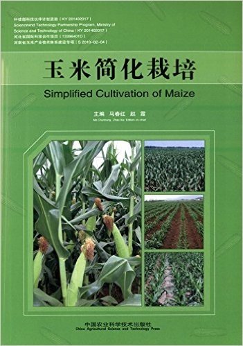 玉米简化栽培