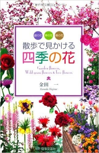 散歩で見かける四季の花