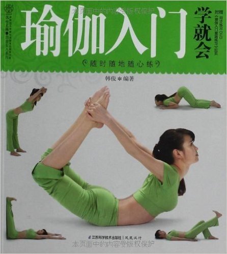 瑜伽入门学就会(附DVD光盘+《瑜伽入门套路练习》拉页)