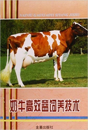 奶牛高效益饲养技术