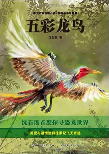 沈石溪动物小说•感悟生命书系:五彩龙鸟