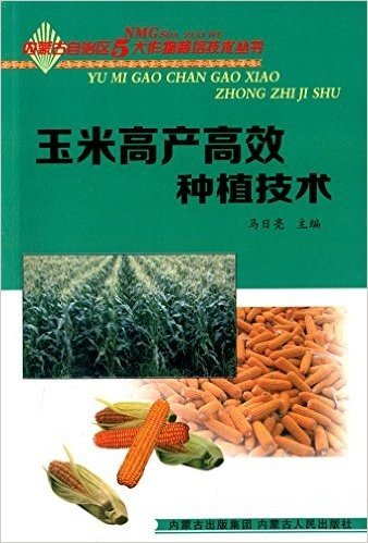 玉米高产高效种植技术