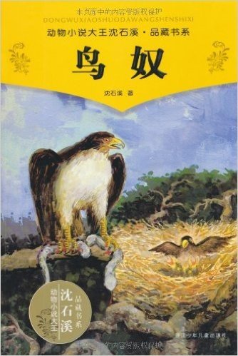 动物小说大王沈石溪品藏书系:鸟奴