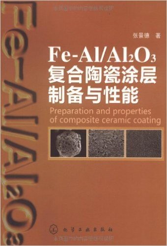 Fe-Al/Al2O3复合陶瓷涂层制备与性能