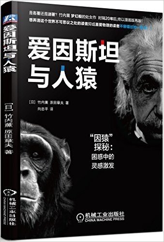 爱因斯坦与人猿·"因猿"探秘:困惑中的灵感激发