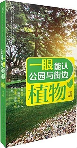 一眼能认公园与街边植物(汉竹)