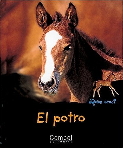 El Potro / The Colt