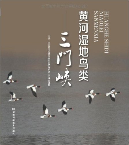 黄河湿地鸟类:三门峡