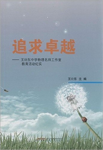 追求卓越--王晓东中学物理名师工作室教育活动纪实