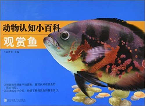 动物认知小百科:观赏鱼