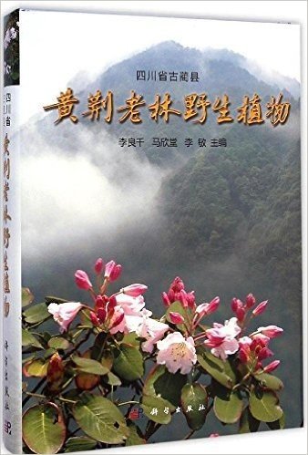 四川省古蔺县黄荆老林野生植物