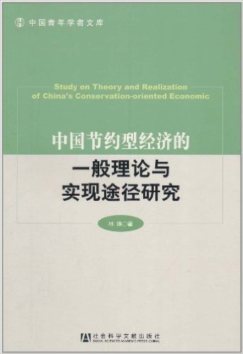中国节约型经济的一般理论与实现途径研究