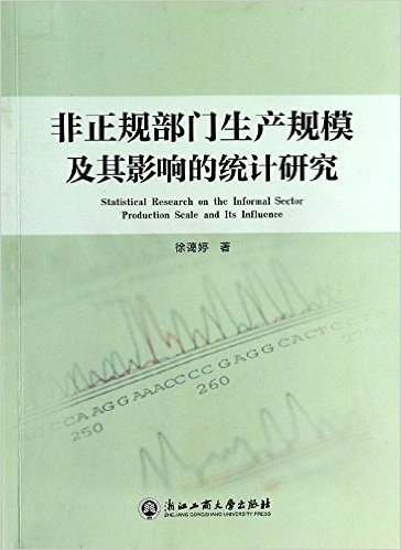 非正规部门生产规模及其影响的统计研究