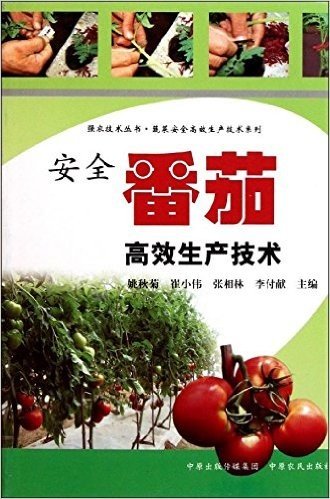 安全番茄高效生产技术