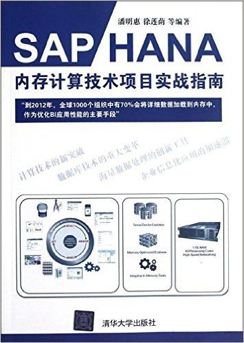 SAP HANA内存计算技术项目实战指南