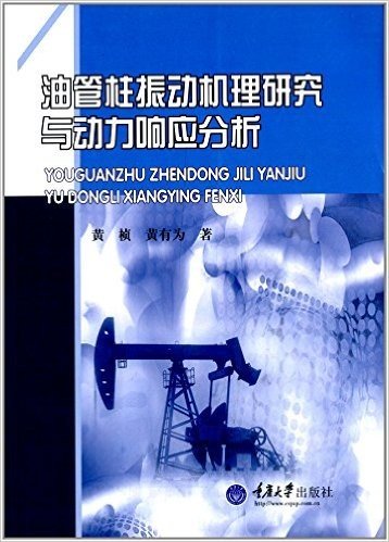 油管柱振动机理研究与动力响应分析