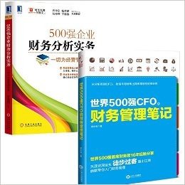 世界500强CFO的财务管理笔记 + 500强企业财务分析实务：一切为经营管理服务 共2本 财务门外汉都可以学会的量化管理方法！那些曾让你挥泪、辛酸、痛哭的财务图表、数字，原来如此easy！会营销不如懂报表