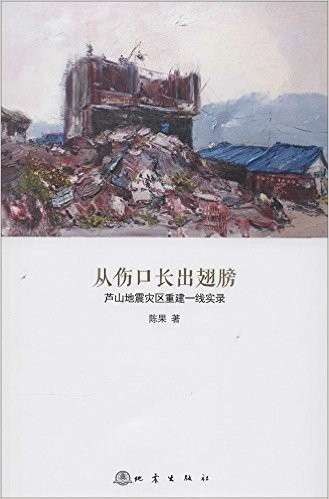 从伤口长出翅膀:芦山地震灾区重建一线实录