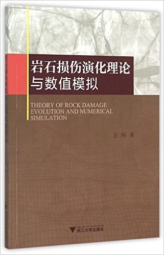 岩石损伤演化理论与数值模拟