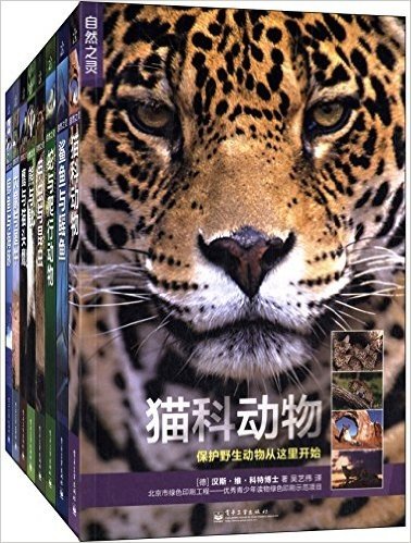 自然之灵:猫科动物+蛇与爬行动物+甲虫与昆虫(套装共8册)