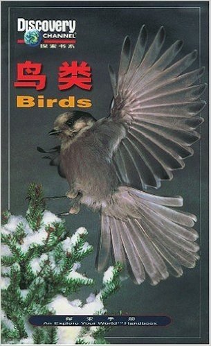 鸟类/探索手册