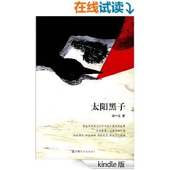 太阳黑子（热映电影《烈日灼心》原著，由邓超、郭涛、段奕宏、王珞丹主演）